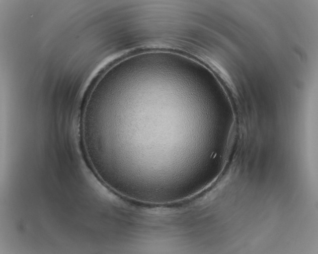 X0000113540992200909181153
