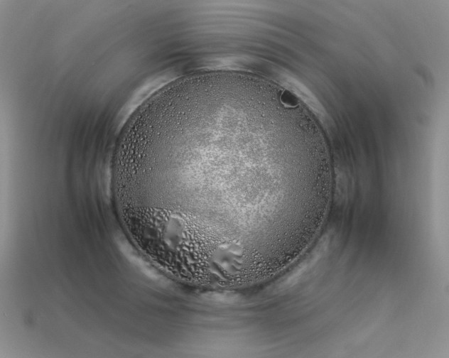 X0000113540994200909181153