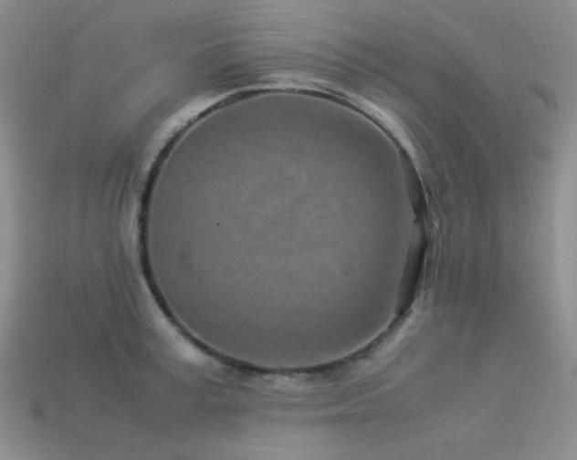 X0000113540995200909181153