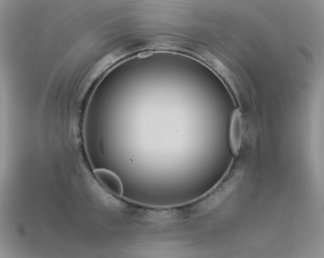 X0000113540997200909181153