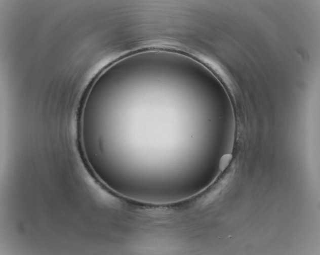 X0000113540999200909181153