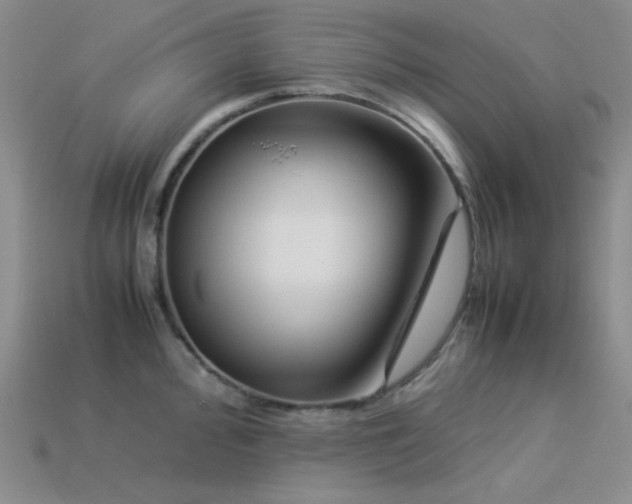 X0000113541000200909181153