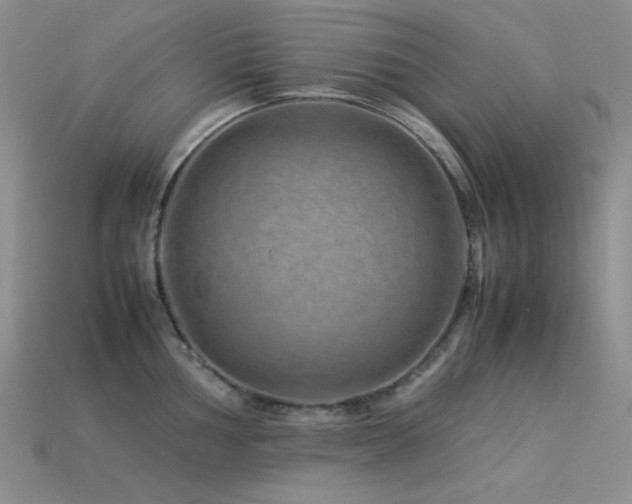 X0000113541002200909181153