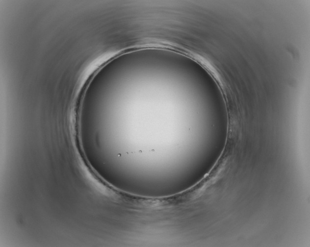 X0000113541003200909181153