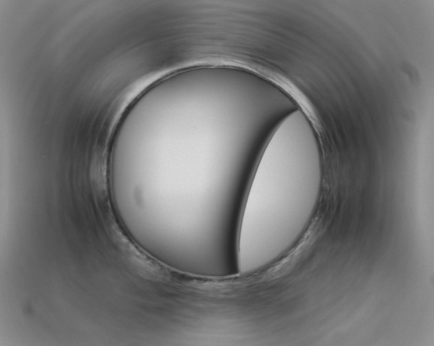 X0000113541004200909181153