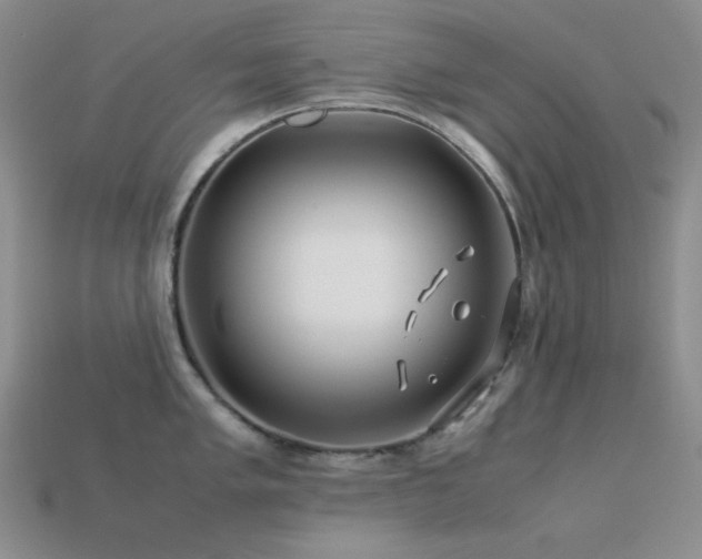 X0000113541005200909181153
