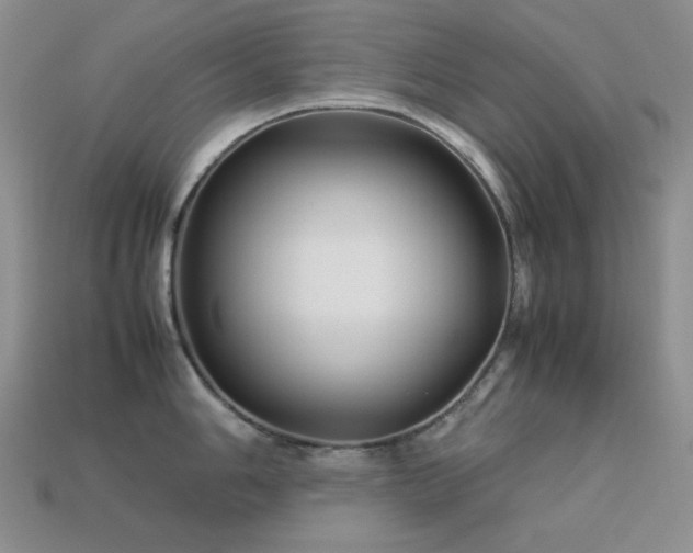 X0000113541006200909181153