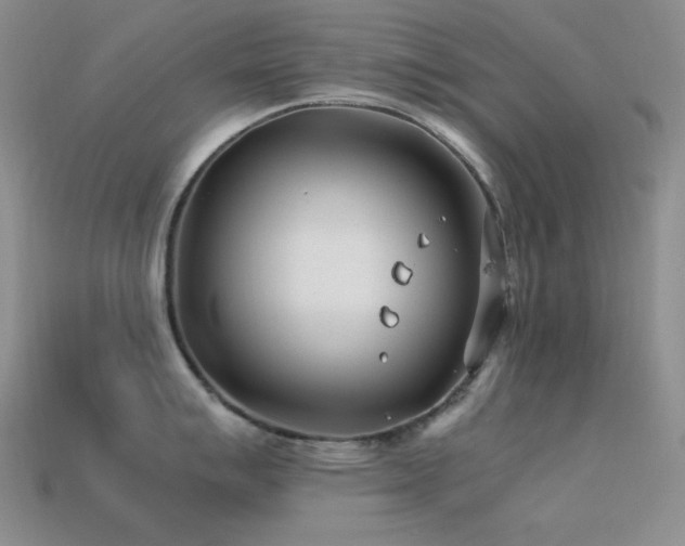 X0000113541007200909181153