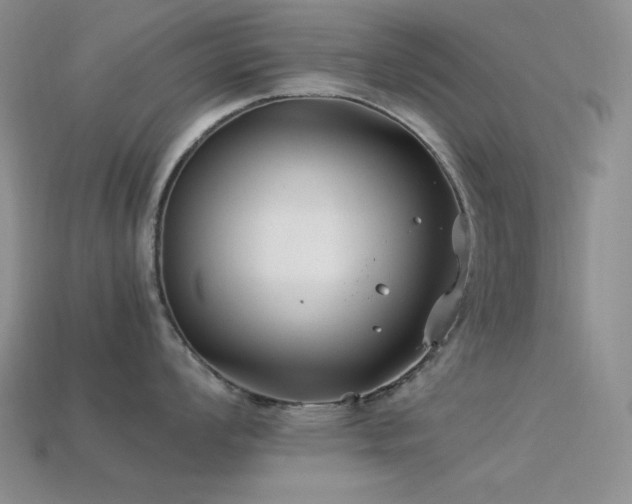 X0000113541008200909181152