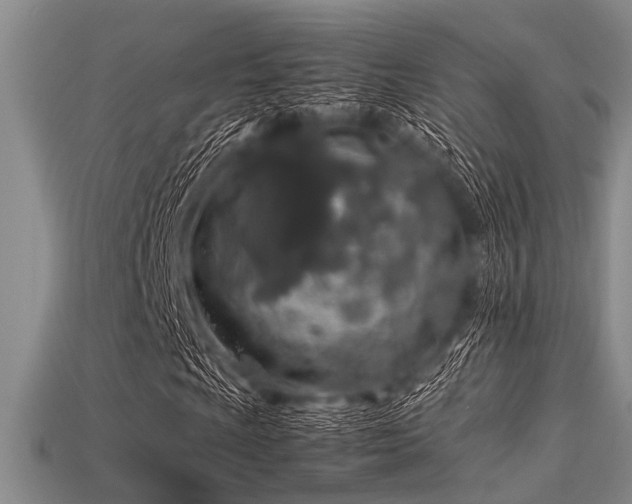 X0000113541009200909181152