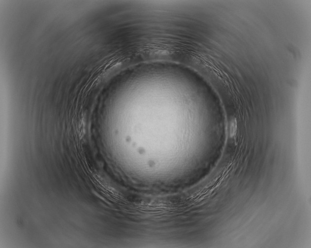 X0000113541011200909181152