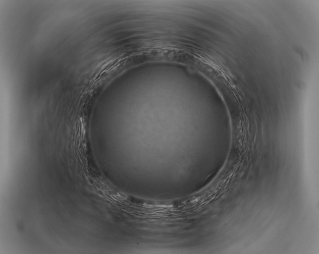X0000113541013200909181152