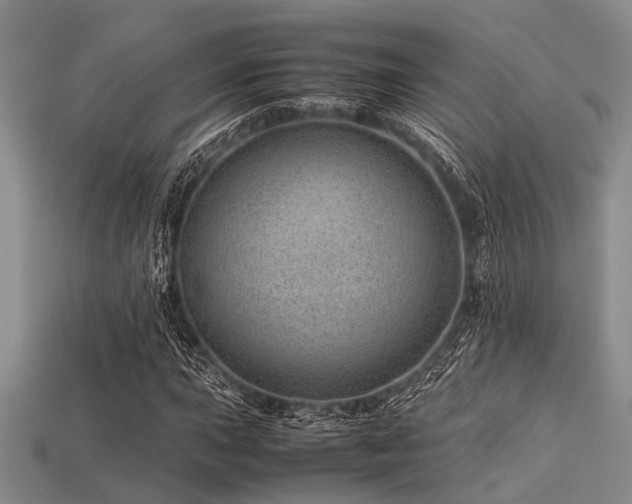 X0000113541015200909181152