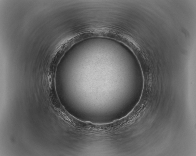 X0000113541016200909181152