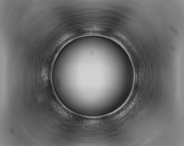 X0000113541017200909181152