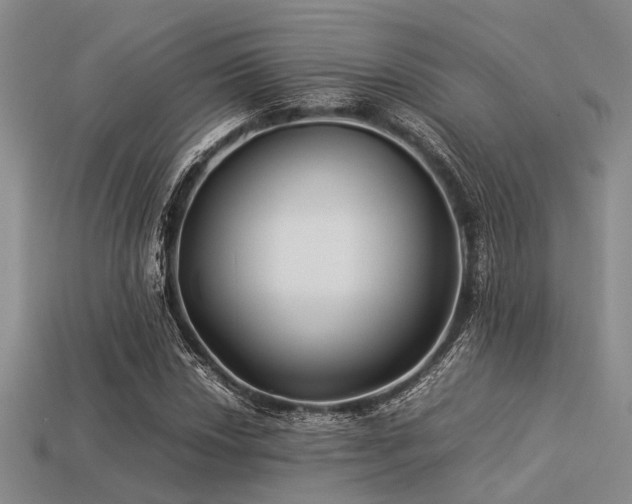 X0000113541018200909181152