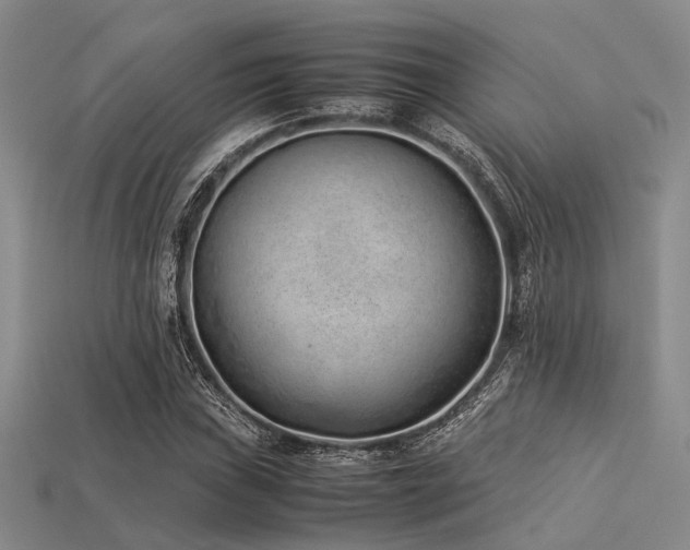 X0000113541019200909181152
