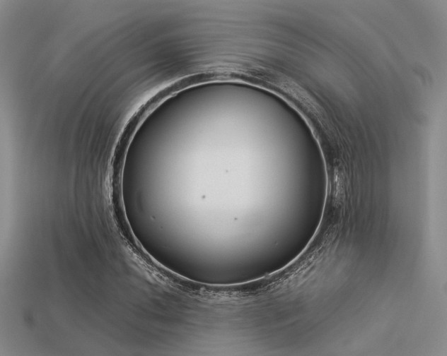 X0000113541020200909181152