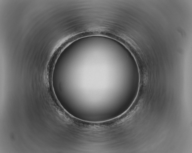 X0000113541022200909181152