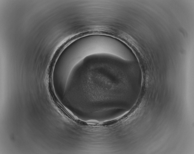 X0000113541024200909181152