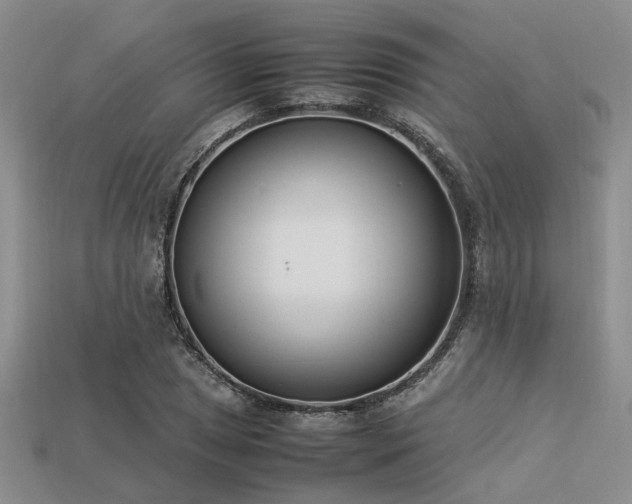 X0000113541025200909181152