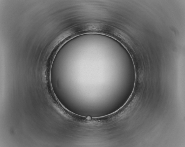 X0000113541026200909181152