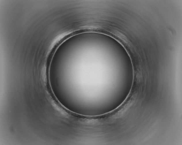 X0000113541030200909181152