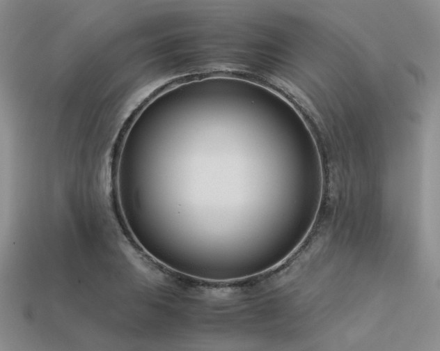 X0000113541031200909181152