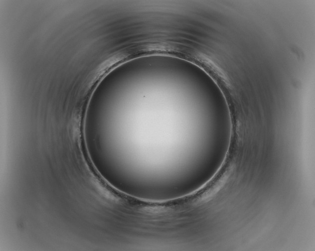 X0000113541033200909181152