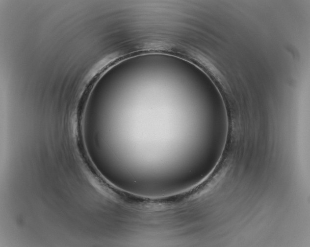 X0000113541034200909181152