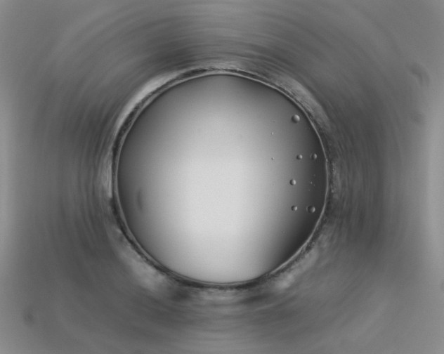 X0000113541036200909181152