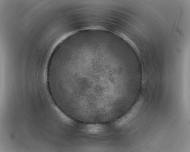 X0000113541037200909181152