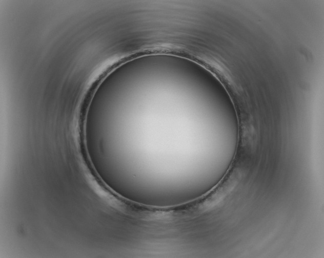 X0000113541038200909181152