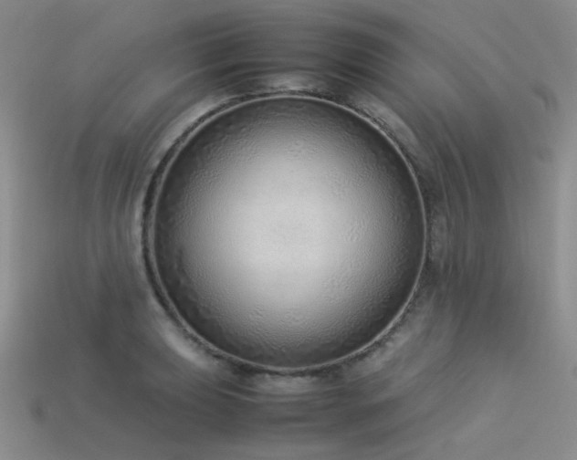 X0000113541039200909181152