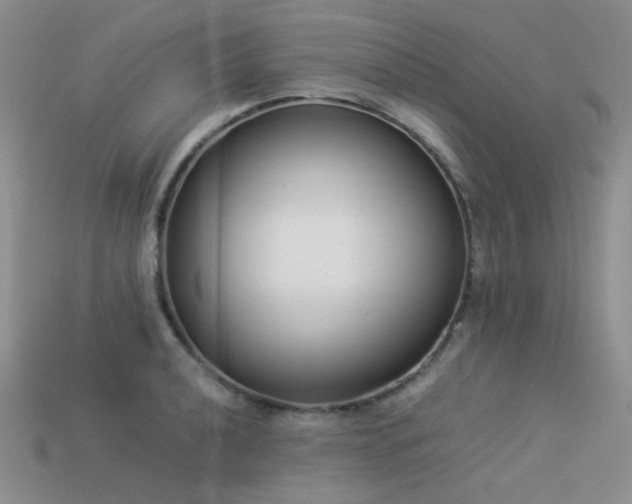 X0000113541040200909181152