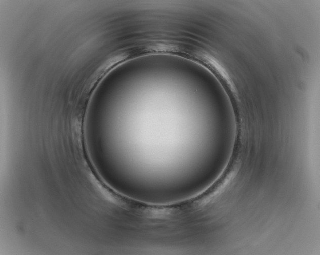 X0000113541041200909181152