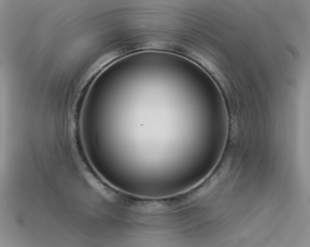 X0000113541042200909181152