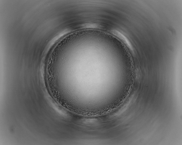 X0000113541043200909181152