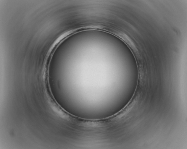 X0000113541044200909181152