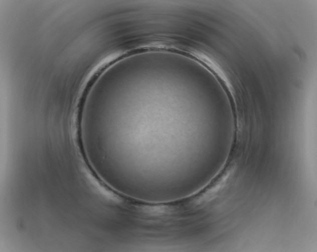 X0000113541045200909181152