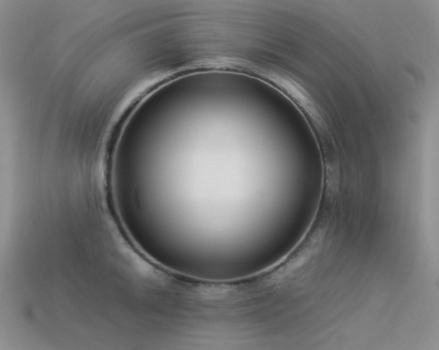 X0000113541046200909181152