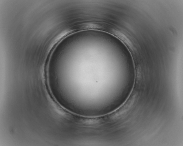 X0000113541047200909181152