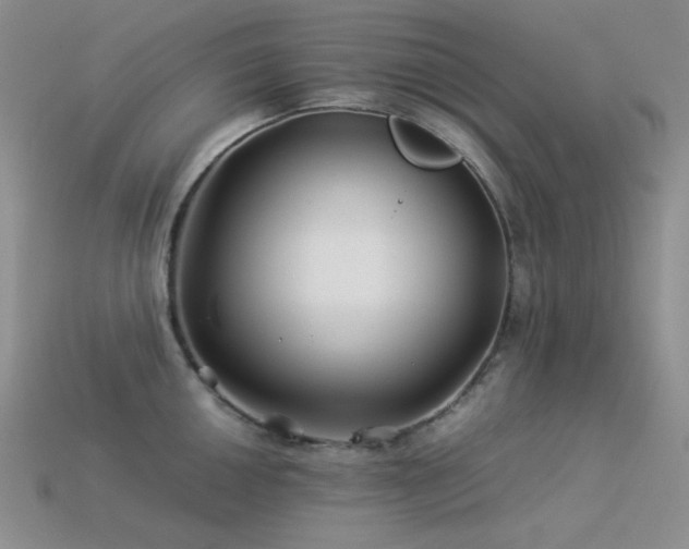 X0000113541050200909181152