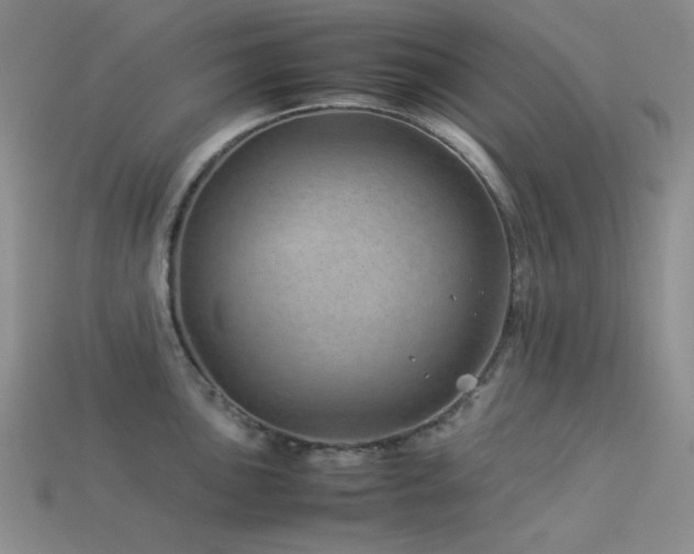 X0000113541051200909181152