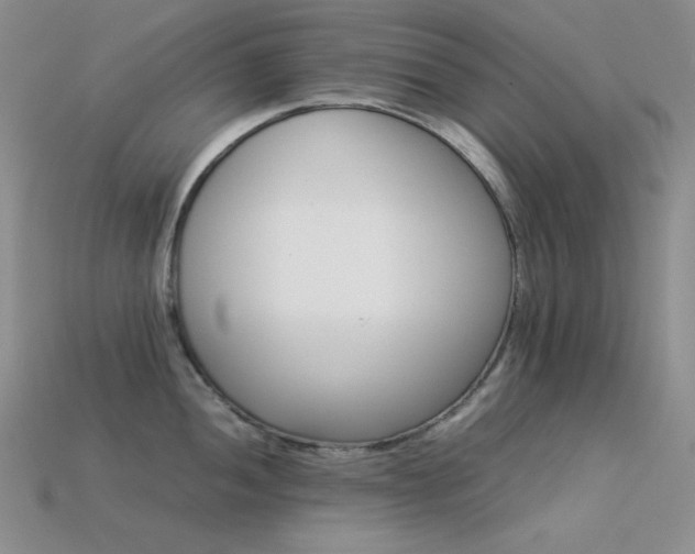 X0000113541052200909181152