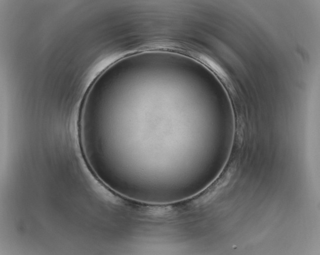 X0000113541055200909181152