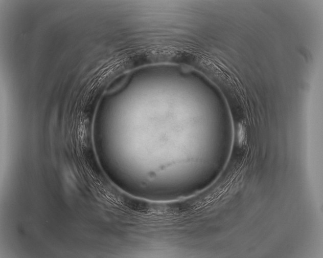 X0000113541059200909181152