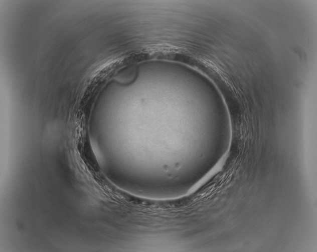 X0000113541063200909181152