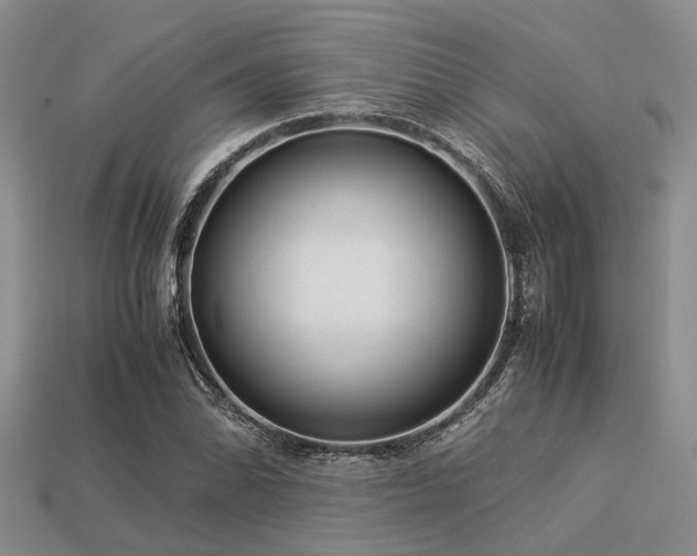X0000113541070200909181152