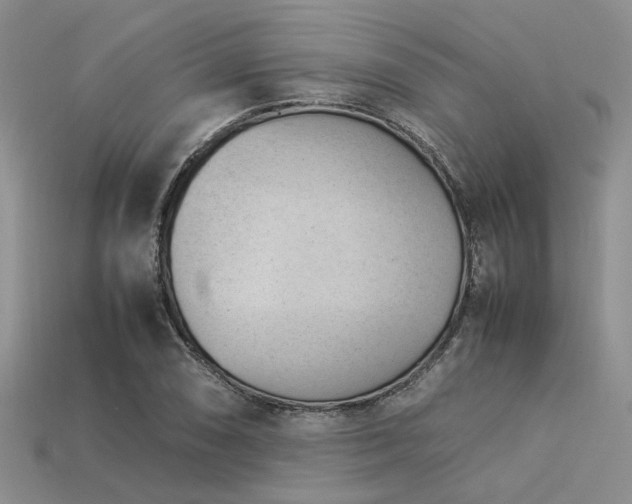 X0000113541074200909181151